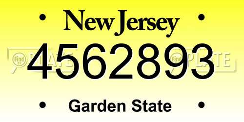 4562893 New Jersey License Plate