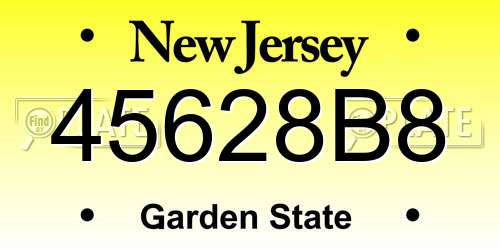 45628B8 New Jersey License Plate