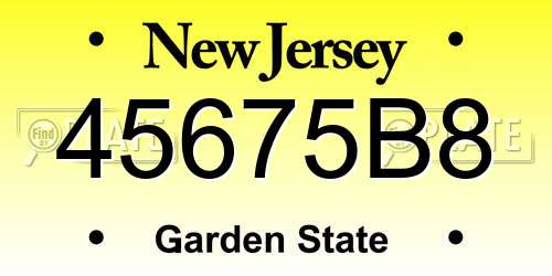 45675B8 New Jersey License Plate