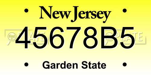 45678B5 New Jersey License Plate