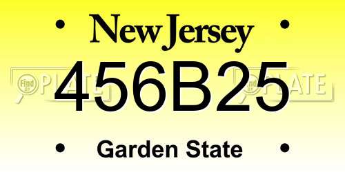 456B25 New Jersey License Plate