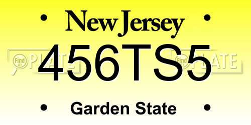 456TS5 New Jersey License Plate