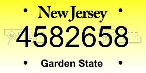 4582658 New Jersey License Plate