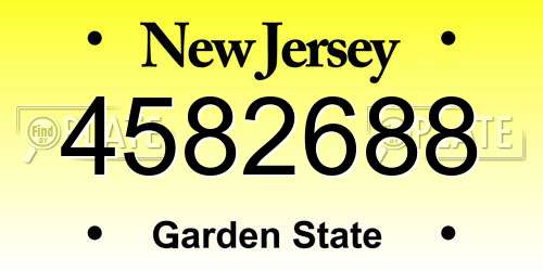 4582688 New Jersey License Plate