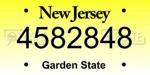 4582848 New Jersey License Plate
