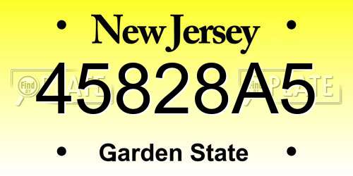 45828A5 New Jersey License Plate