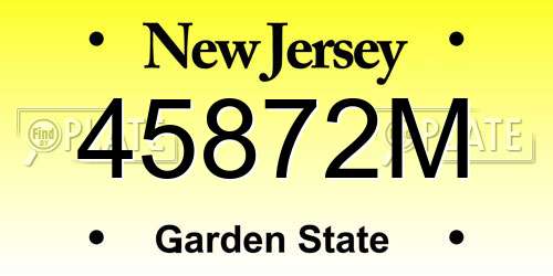 45872M New Jersey License Plate