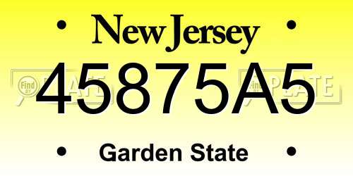 45875A5 New Jersey License Plate