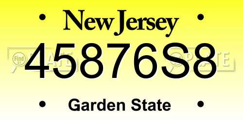 45876S8 New Jersey License Plate
