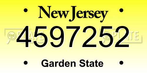 4597252 New Jersey License Plate