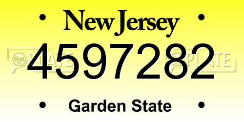4597282 New Jersey License Plate
