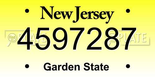 4597287 New Jersey License Plate