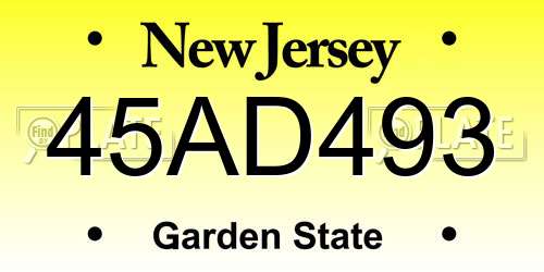 45AD493 New Jersey License Plate