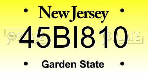 45BI810 New Jersey License Plate
