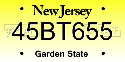 45BT655 New Jersey License Plate