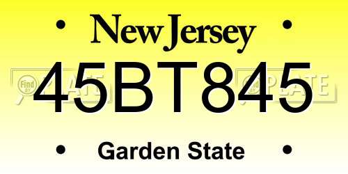 45BT845 New Jersey License Plate