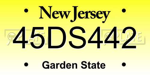 45DS442 New Jersey License Plate