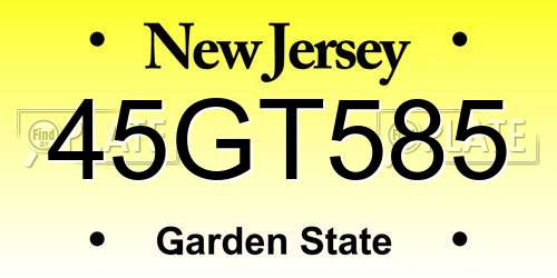 45GT585 New Jersey License Plate