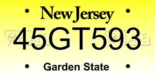 45GT593 New Jersey License Plate