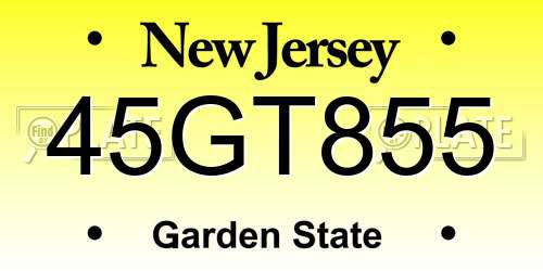45GT855 New Jersey License Plate