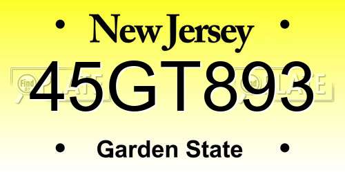 45GT893 New Jersey License Plate