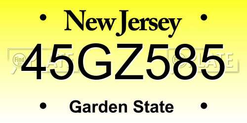 45GZ585 New Jersey License Plate