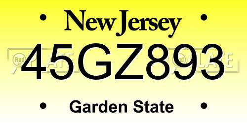 45GZ893 New Jersey License Plate