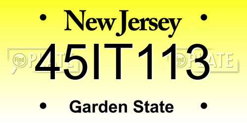 45IT113 New Jersey License Plate