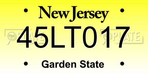 45LT017 New Jersey License Plate