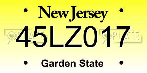 45LZ017 New Jersey License Plate