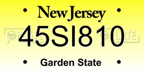 45SI810 New Jersey License Plate