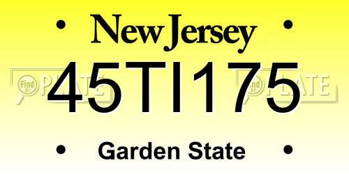45TI175 New Jersey License Plate