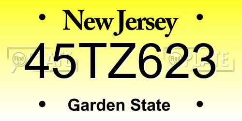 45TZ623 New Jersey License Plate