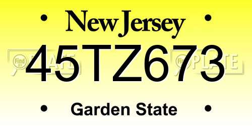 45TZ673 New Jersey License Plate