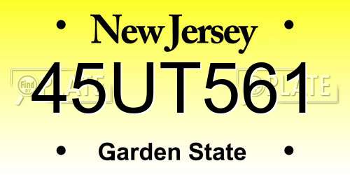 45UT561 New Jersey License Plate