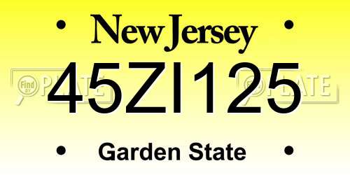 45ZI125 New Jersey License Plate