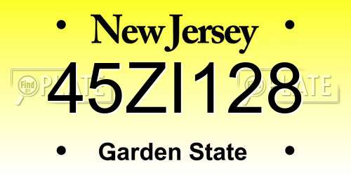 45ZI128 New Jersey License Plate