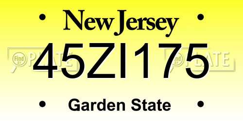 45ZI175 New Jersey License Plate