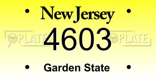 4603 New Jersey License Plate