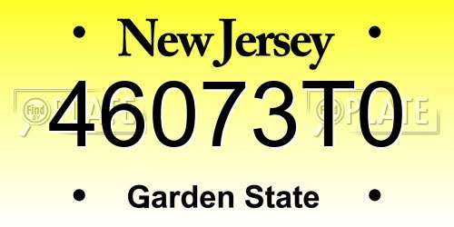 46073T0 New Jersey License Plate