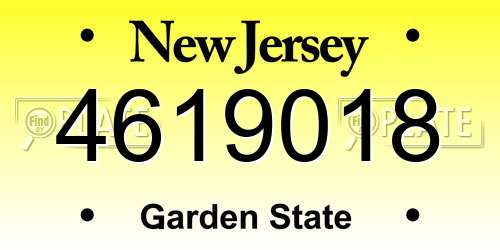 4619018 New Jersey License Plate