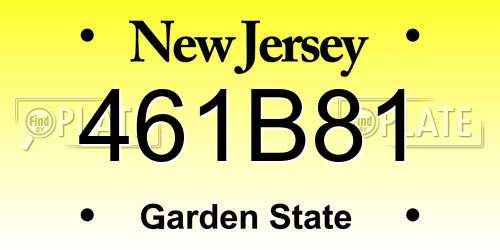 461B81 New Jersey License Plate