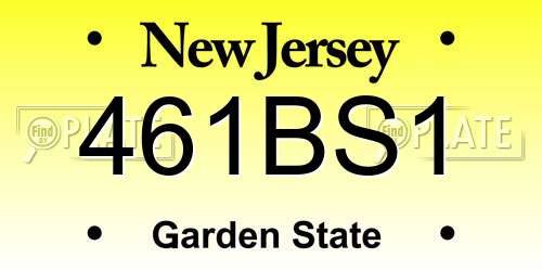 461BS1 New Jersey License Plate