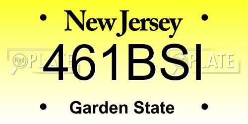 461BSI New Jersey License Plate