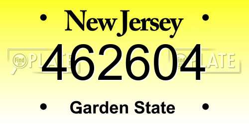 462604 New Jersey License Plate