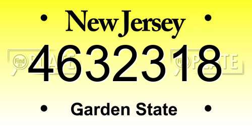 4632318 New Jersey License Plate