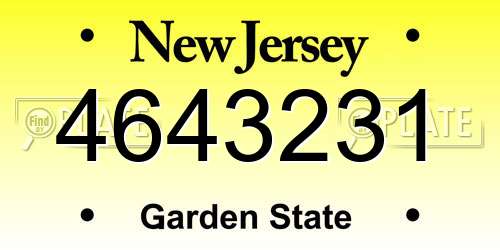 4643231 New Jersey License Plate