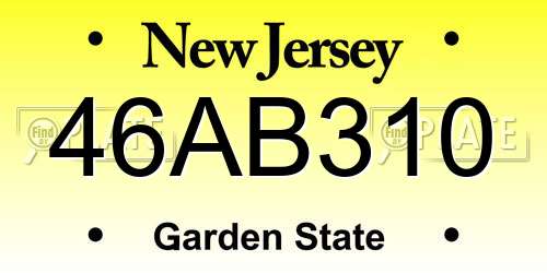 46AB310 New Jersey License Plate