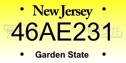 46AE231 New Jersey License Plate