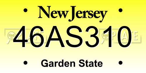 46AS310 New Jersey License Plate